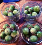 Spicy Pickled Cherry Tomatoes - ready for brine and the canner!