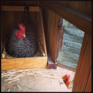 Keep 'em coming, ladies! 