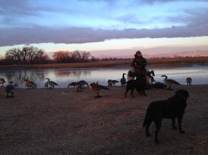 Early morning decoy setup. 